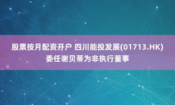 股票按月配资开户 四川能投发展(01713.HK)委任谢贝蒂为非执行董事
