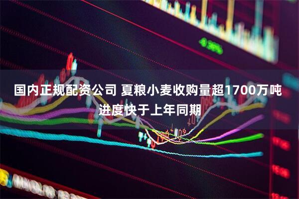 国内正规配资公司 夏粮小麦收购量超1700万吨 进度快于上年同期