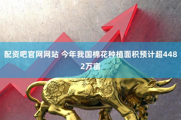 配资吧官网网站 今年我国棉花种植面积预计超4482万亩